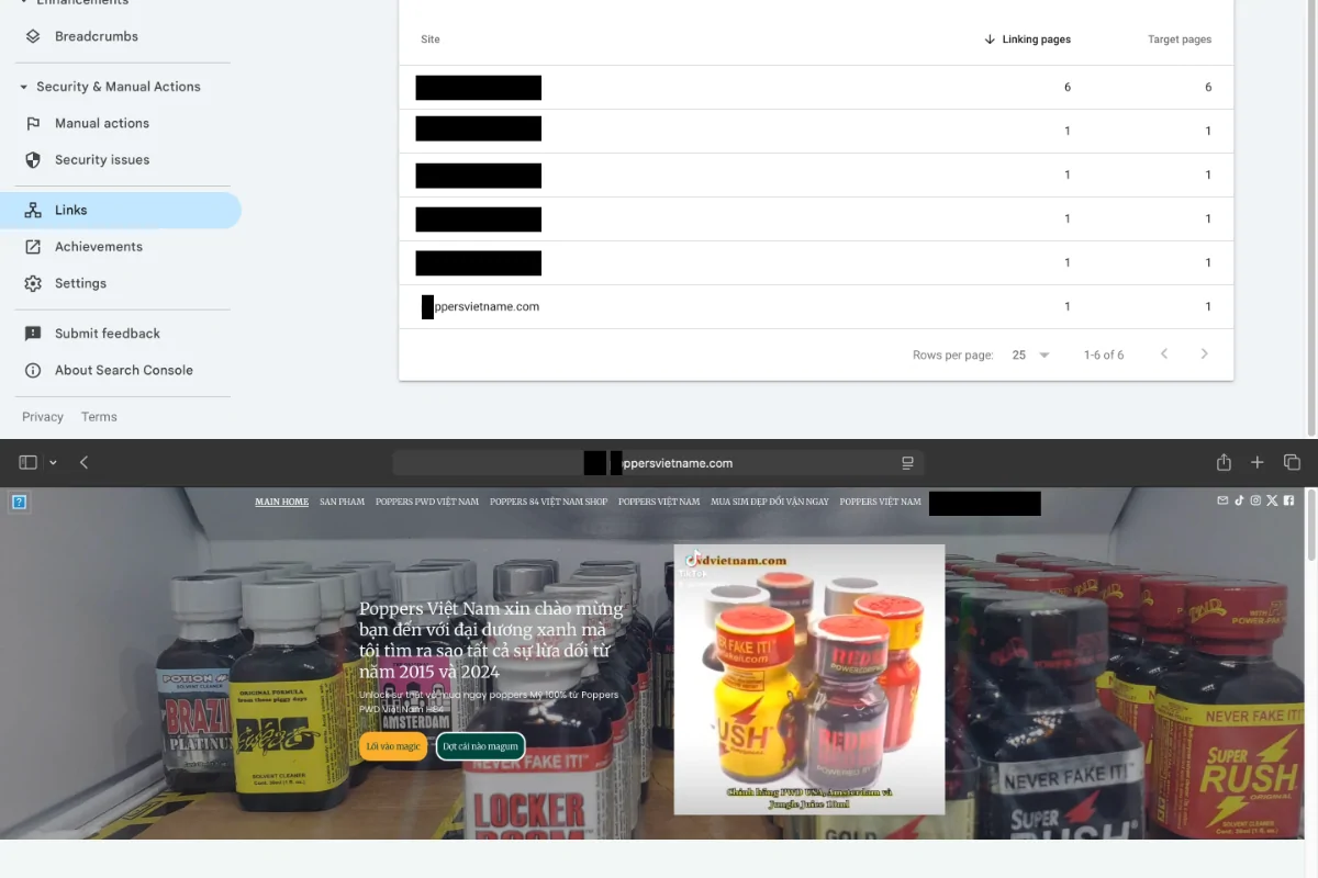 Ảnh chụp bằng chứng website giả mạo thương hiệu poppersvietnam.com, hiển thị trong Google Search Console và giao diện web lưu trên Wayback Machine