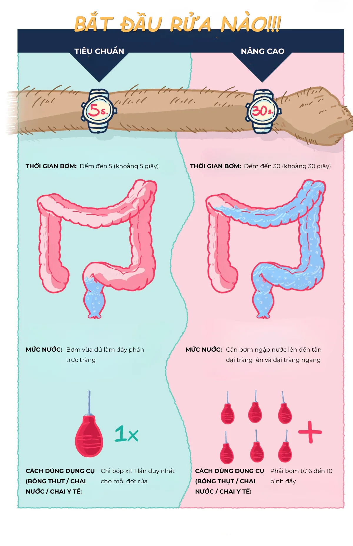 Hình ảnh minh hoạ chi tiết các bước vệ sinh (được chia từ cơ bản đến nâng cao).