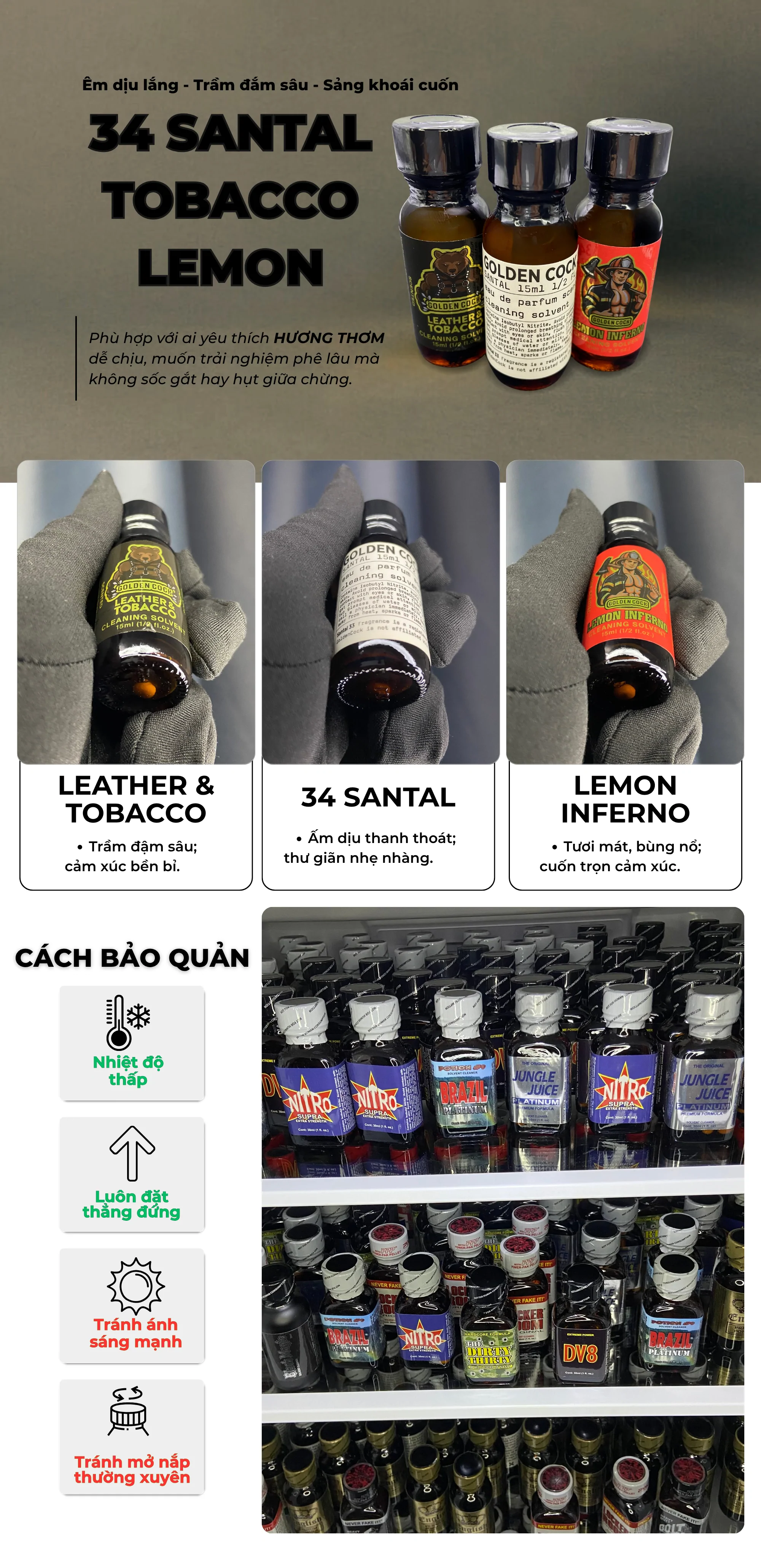 Ảnh mô tả bộ 3 poppers Golden Cock chính hãng: 34 Santal, Leather & Tobacco, Lemon Inferno với mùi hương bền lâu, cảm xúc sâu lắng, hướng dẫn bảo quản chi tiết.