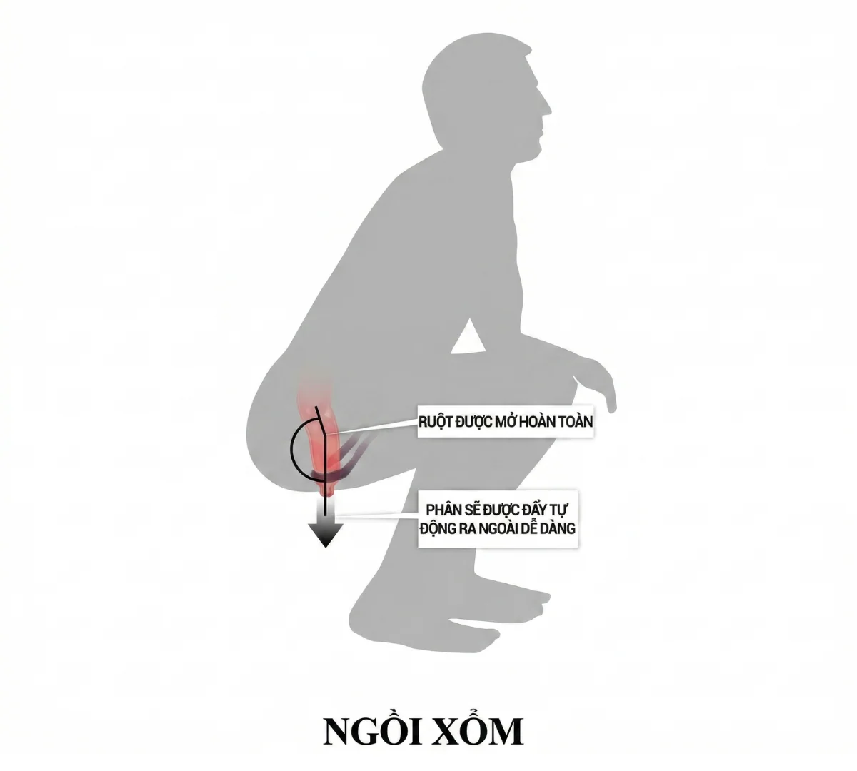 Hình biểu tượng (symbol) người đàn ông ngồi xổm. Minh hoạ cho tư thế ngồi xổm khi vệ sinh sau khi quan hệ của bot.